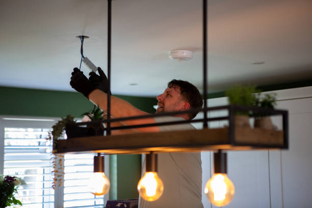 Best Electrical System Inspection  in Reading, MI