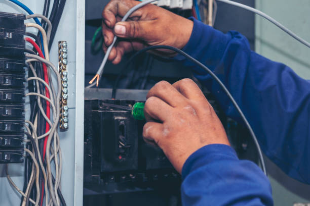 Best Home Electrical Repair  in Reading, MI